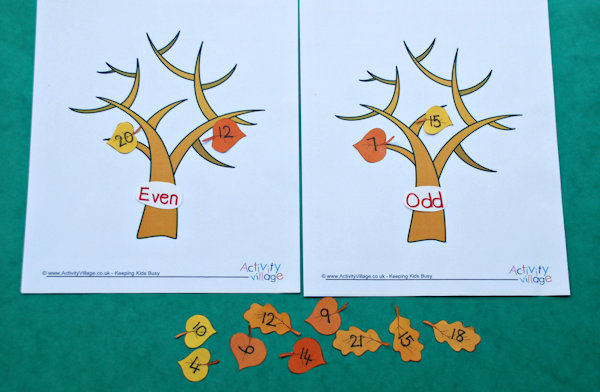 Guest Post - Autumn Tree Maths | Activity Village