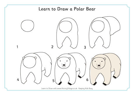 Learn to Draw a Polar Bear