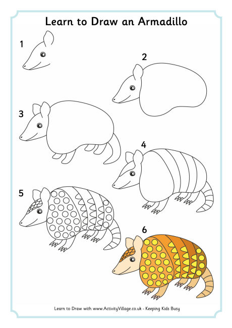 Learn To Draw An Armadillo