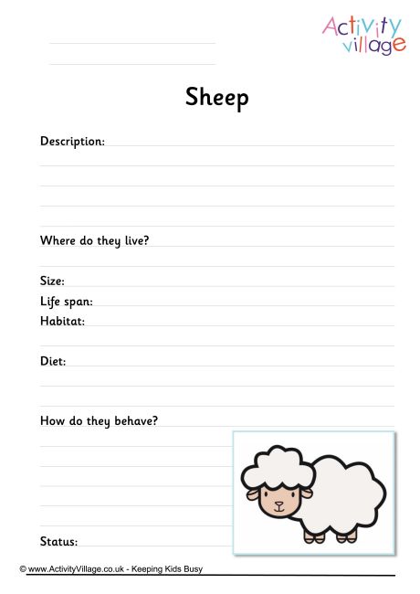 Sheep Worksheet | Activity Village